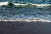 Cape Vidal