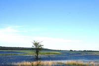 Chobe - Grenze zu Botswana