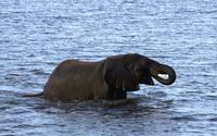 Chobe NP - Olifants Bath