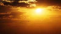 Chobe NP - Sonnenuntergang