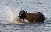 Cobe NP - Olifants Bath
