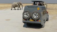 Etosha NP - Pirschfahrt