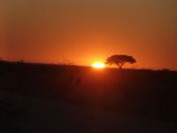 Etosha Nationalpark