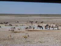 Etosha Nationalpark