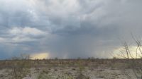 Etosha es regnet