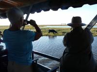 Fahrt auf dem Chobe
