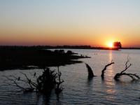 Fahrt auf dem Chobe
