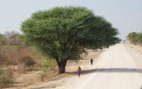 Fahrt durch Namibia