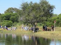 Fahrt mit dem Speetboot auf dem Thamalakane River zurück zur Lodge