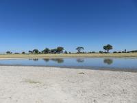 Fahrt mit den Mokoros im Okawango-Delta - Pause auf einer Insel - Spaziergang durch den Busch