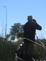 Fahrt mit den Mokoros im Okawango-Delta