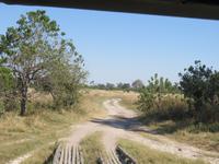 Fahrt nach Maun -