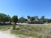 Fahrt nach Maun