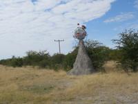 Fahrt nach Nata - Pause in der Planet Baobab Lodge