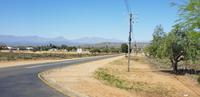 Fahrt nach Oudtshoorn