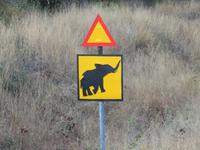 Fahrt zum Hwange Nationalpark