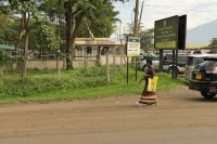 Fahrt zum Tarangire Nationalpark