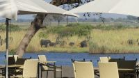Frühstück mit Elefanten am Chobe