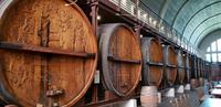 Franschhoek - Weinverkostung im KMV Weingut