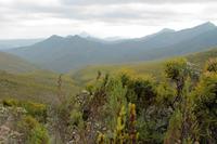 Garden Route