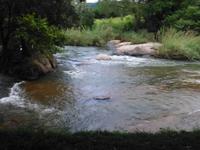 Gecko Lodge