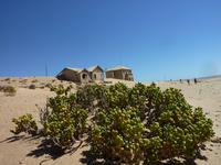 Ghost Town
