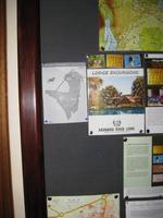 Great Migratin Map 2