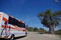 Grenze Botswana