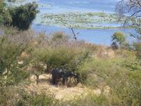 Grenze zu Botswana