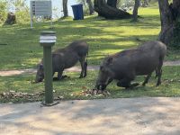 Hotelbesucher in der A'zambesi Lodge