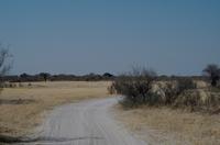Hwange Nationalpark - Pirschfahrt