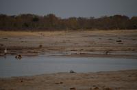 IMG4077