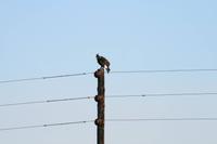 IMG_0540