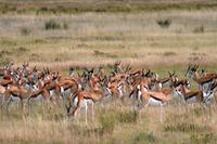 IMG_6358