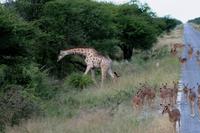 IMG_6537