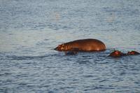 IMG_7615