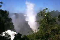 IMG_7705