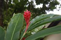 Im Botanischen Garten