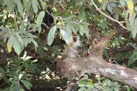 Im Lake Manyara Nationalpark