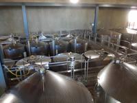 Im Weingut Tokara
