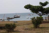 In Stone Town