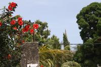 In Stone Town
