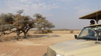 Kalahari Anib Lodge, game drive