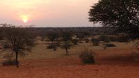 Kalahari Anib Lodge, game drive
