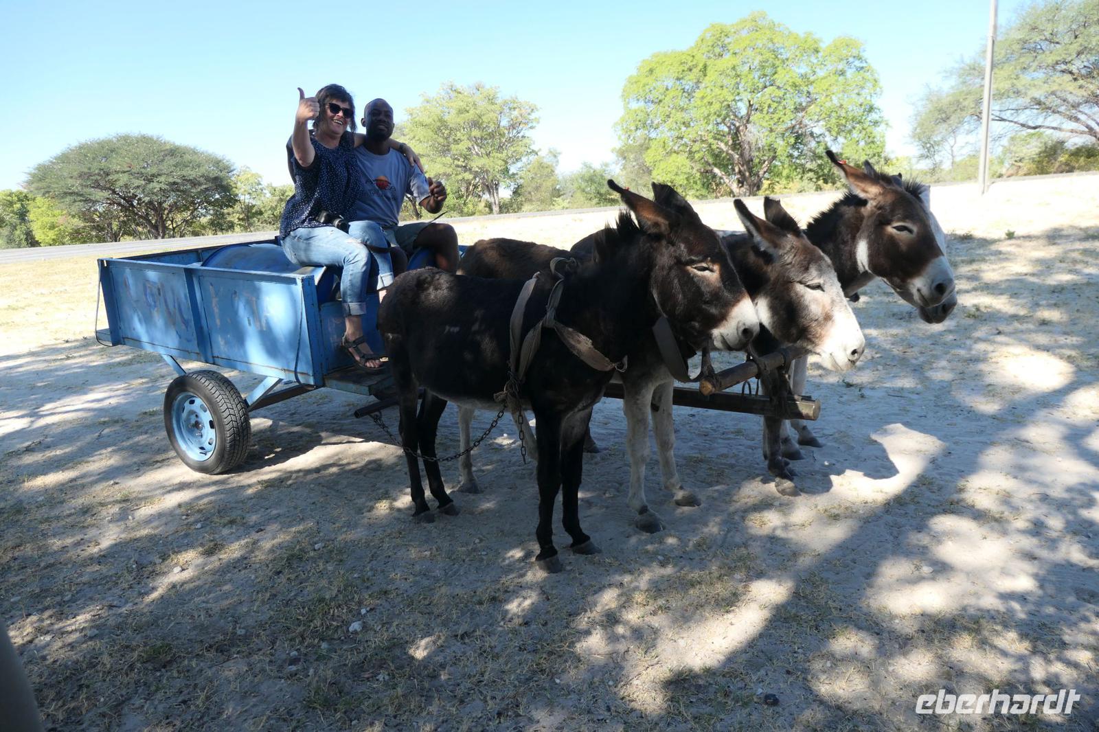 Kalahari Ferrari