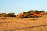Kalahari