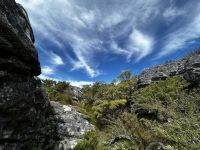 Kapstadt: Tafelberg
