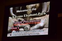 Knysna Elephant Park