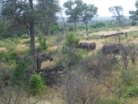 Krüger NP