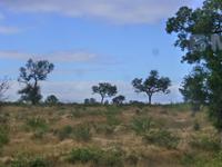 Krüger NP